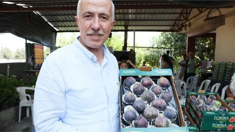 Akdenizli İncir Üreticilerine Bilimsel Destek