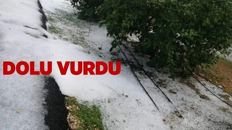Dolu Yağışı Çiftçileri Vurdu