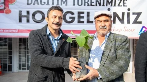 Büyükşehir Sayesinde Mersin Artık ‘İncir’ Kenti