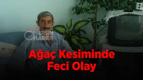 Kışlık Odun Hazırlığında Feci Ölüm