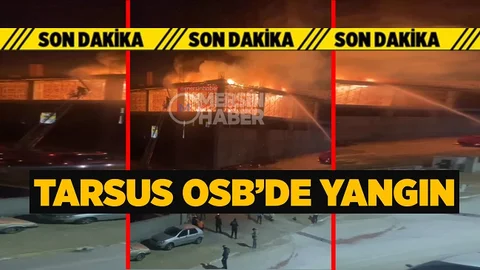 Organize Sanayi Bölgesindeki Tesiste Büyük Yangın