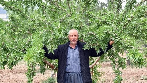 Büyükşehir Üreticilerin Girdi Maliyetlerini Düşürüyor