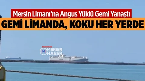 Mersin Limanına Yanaşan Gemiden Sonra Kenti Koku Sardı