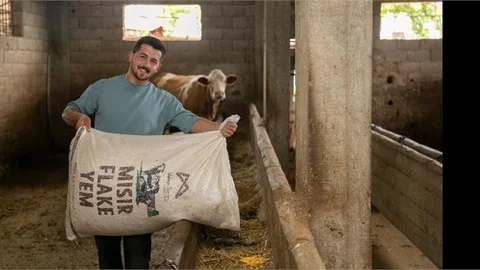 Büyükşehir Süt Üreticilerinin De Yanında