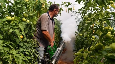 Sisleme Makinesi İle 1 Dönüm Sera 10 Dakikada İlaçlanıyor