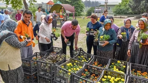 Sivrisinek Ve Haşere İle Bitkisel Mücadele