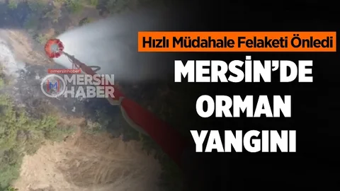 Mersin’deki Orman Yangını Kontrol Altında