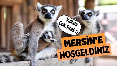 Tarsus Doğa Parkı Yeni Üyelerine Kavuştu