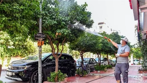 Büyükşehir, Etkin Mücadele İçin Biyosidal Uygulama Yapıyor