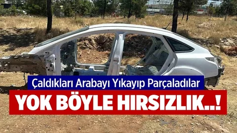 ‘Titiz’ Oto Hırsızları Şebekesine Operasyon