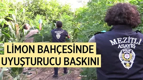 Mersin’de Uyuşturucu Operasyonu
