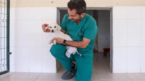 Kaşlı Bakımevi’nde Bir Can Dost Daha İyileşti