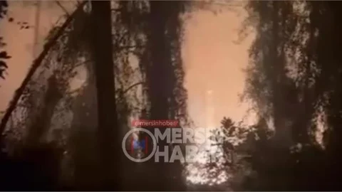 Mersin'de Gece Saatlerinde Orman Yangını