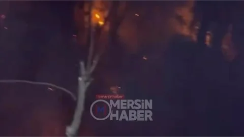 Mersin Toroslar Çandır’daki Orman Yangını Kontrol Altında