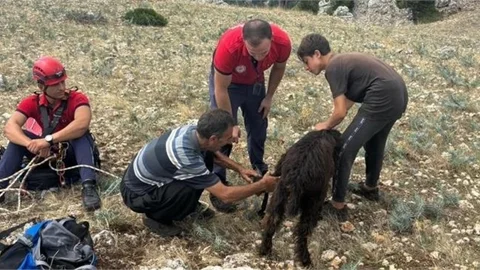 MERSİN'DE KEÇİ KURTARMA OPERASYONU