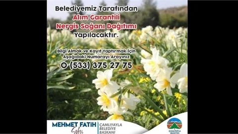 ÇAMLIYAYLA BELEDİYESİ'NDEN ÜRETİCİYE NERGIZ SOĞANI DESTEĞİ