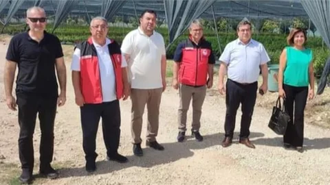 MERSİN'DE TOHUM İŞLEME VE PAKETLEME TESİSİ ZİYARETİ..