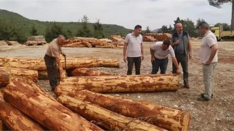 BÖLGE MÜDÜRÜ ATAŞ, TARSUS'TA İNCELEMELERDE BULUNDU