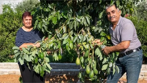 BÜYÜKŞEHİR’İN FİDE FİDAN DESTEKLERİ İLE ÜRETİM DE ÜRETİCİ DE BÜYÜYOR