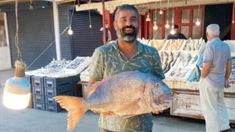Mersin Balık Pazarında 10 Kiloluk Fangri Mercanı