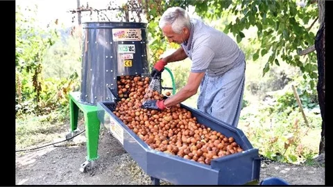 Mersinli Üreticiye "Ceviz Soyma Makinesi’ desteği