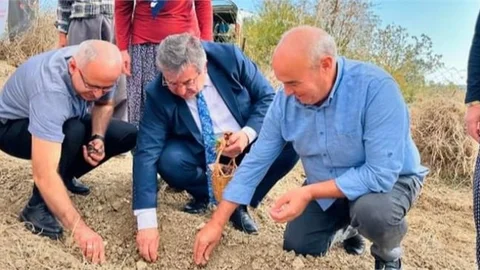 MERSİN'İN DAĞLARINDA NERGİS KOKUSU YÜKSELECEK