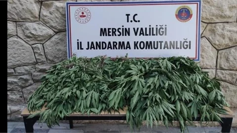 UYUŞTURUCU SERASINA BASKIN