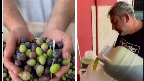 Mersin Tarsus’ta Kuşaklar Boyu Zeytinyağı Üretimi