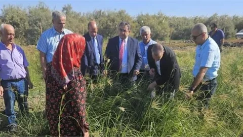 TARSUS'TA YEM BİTKİSİ DEMONSTRASYON TARLA GÜNÜ DÜZENLENDİ