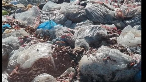 MERSİN'DE VATANDAŞLAR BOŞ ARAZİYE ATILAN HAYVAN KEMİKLERİNİN KOKUSUNDAN ŞİKAYETÇİ