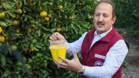 “AKDENİZ MEYVE SİNEĞİNE KARŞI MÜCADELEDE BAŞARILI SONUÇLAR ELDE ETTİK.”