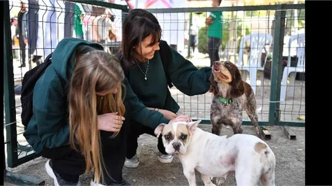 ‘YAŞAMI SAHİPLEN DESTEK BÜYÜKŞEHİR’DEN KAMPANYASINA FESTİVALLERDE YOĞUN İLGİ
