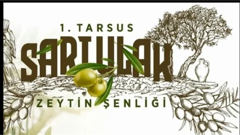 TARSUS’TA SARIULAK ZEYTİN ŞENLİĞİ BUGÜN BAŞLIYOR