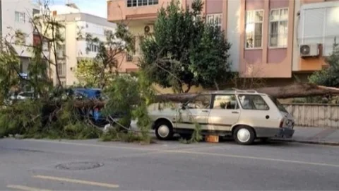 FIRTINA MEDENİYLE KONTEYNER UÇTU, KAMELYA PARÇALANDI, AĞAÇ 2 ARACIN ÜZERİNE DEVRİLDİ