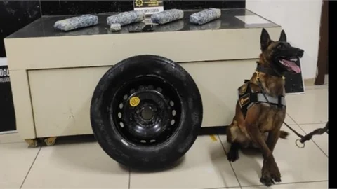 UYUŞTURUCU TACİRLERİ TOKYO'DAN KAÇAMADI