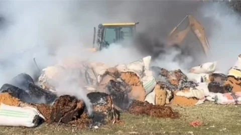 ÇAMLIYAYLA'DA 10 TON KAÇAK TÜTÜN ELE GEÇİRİLDİ