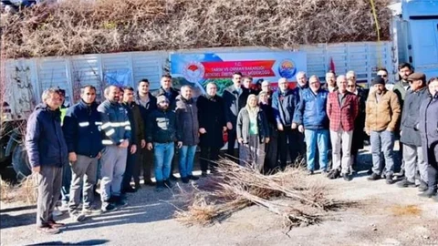 GULNAR VE AYDINCIK'TA BADEM FİDANI DAĞITIMI