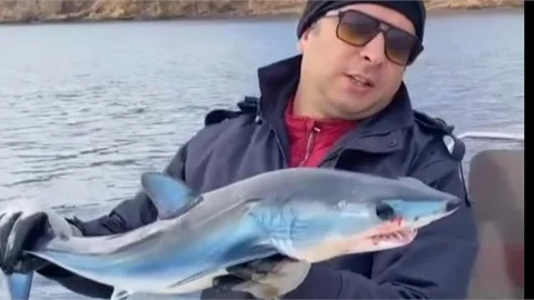 YAVRU CAM GÖZ KÖPEK BALIĞI YAKALANDI