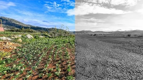 BÜYÜKŞEHİR, ‘SÜRDÜRÜLEBİLİR ENERJİ VE İKLİM EYLEM PLANI’NI HAZIRLADI