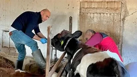 Mersin’de 2024 Brusella Survey Programı Tamamlandı