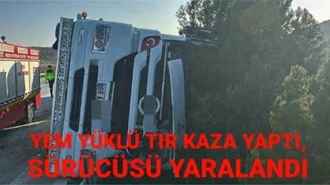Yem Malzemesi Yüklü TIR Kaza Yaptı: 1 Yaralı