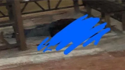 SİLAHLA VURULMUŞ OLARAK ÖLÜ BULUNDU