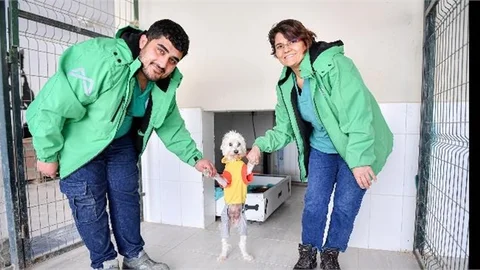 PATİLİ DOSTLAR BÜYÜKŞEHİR SAYESİNDE SAĞLIKLI VE GÜVENDE