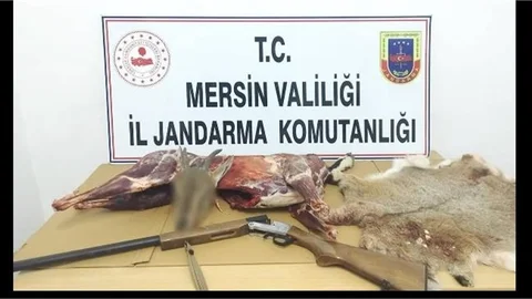 Kaçak Avcıya Suçüstü: Yaban Keçisi Avına 650 Bin TL Ceza