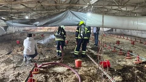 BOŞ DURUMDA Kİ TAVUK ÜRETİM KÜMESİNDE YANGIN