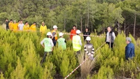 Mersin Orman Bölge Müdürlüğü’nden 42 Bin Hektarlık Başarılı Bakım Çalışması