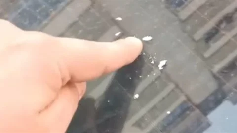 Mezitli’de Araçların Üzerindeki Beyaz Lekelerin Sebebi Belli Oldu