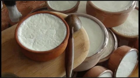 SİLİFKE YOĞURDU,  TÜRKİYE’Yİ AB KOMİSYONUNDA TEMSİL EDEN İLK TÜRK YOĞURDU OLDU