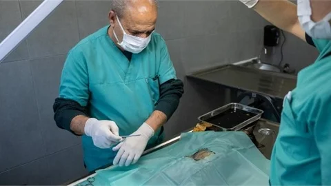 BÜYÜKŞEHİR’DEN YENİ BİR HİZMET DAHA: ‘KEDİ KISIRLAŞTIRMA MERKEZİ’