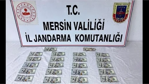 JANDARMA’DAN SAHTE PARA OPERASYONU 1 GÖZALTI